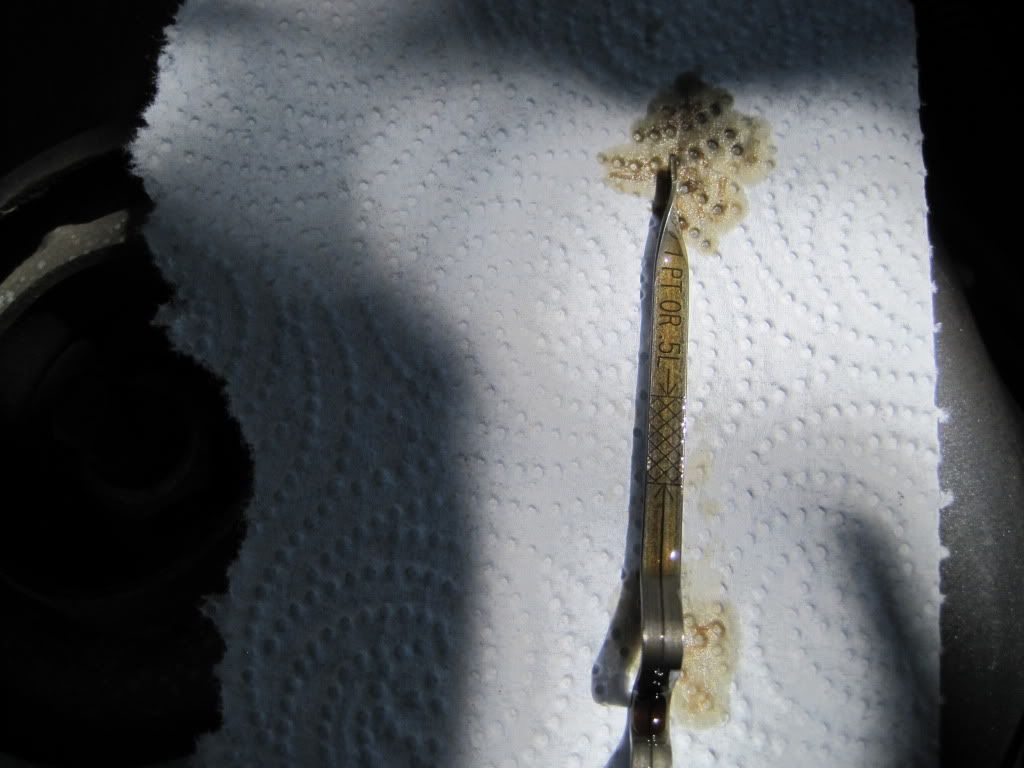 Engine Flush wise for High Mileage Car? Automotive Sports cars